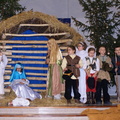 jaselka 15