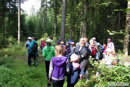 Foto 08