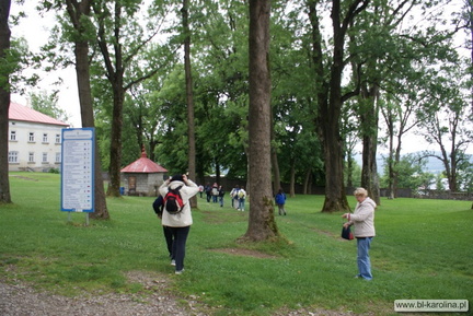Foto 015