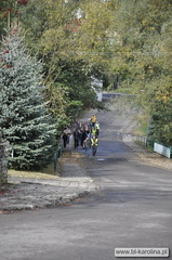 Pielg 09