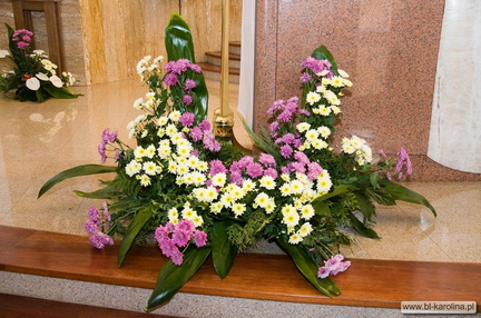 Foto 043